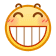 表情[ciya]-盛大互联