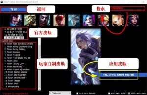 LOL·老外出品 LOL换肤助手-盛大互联