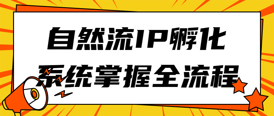 自然流IP孵化系统掌握全流程-盛大互联